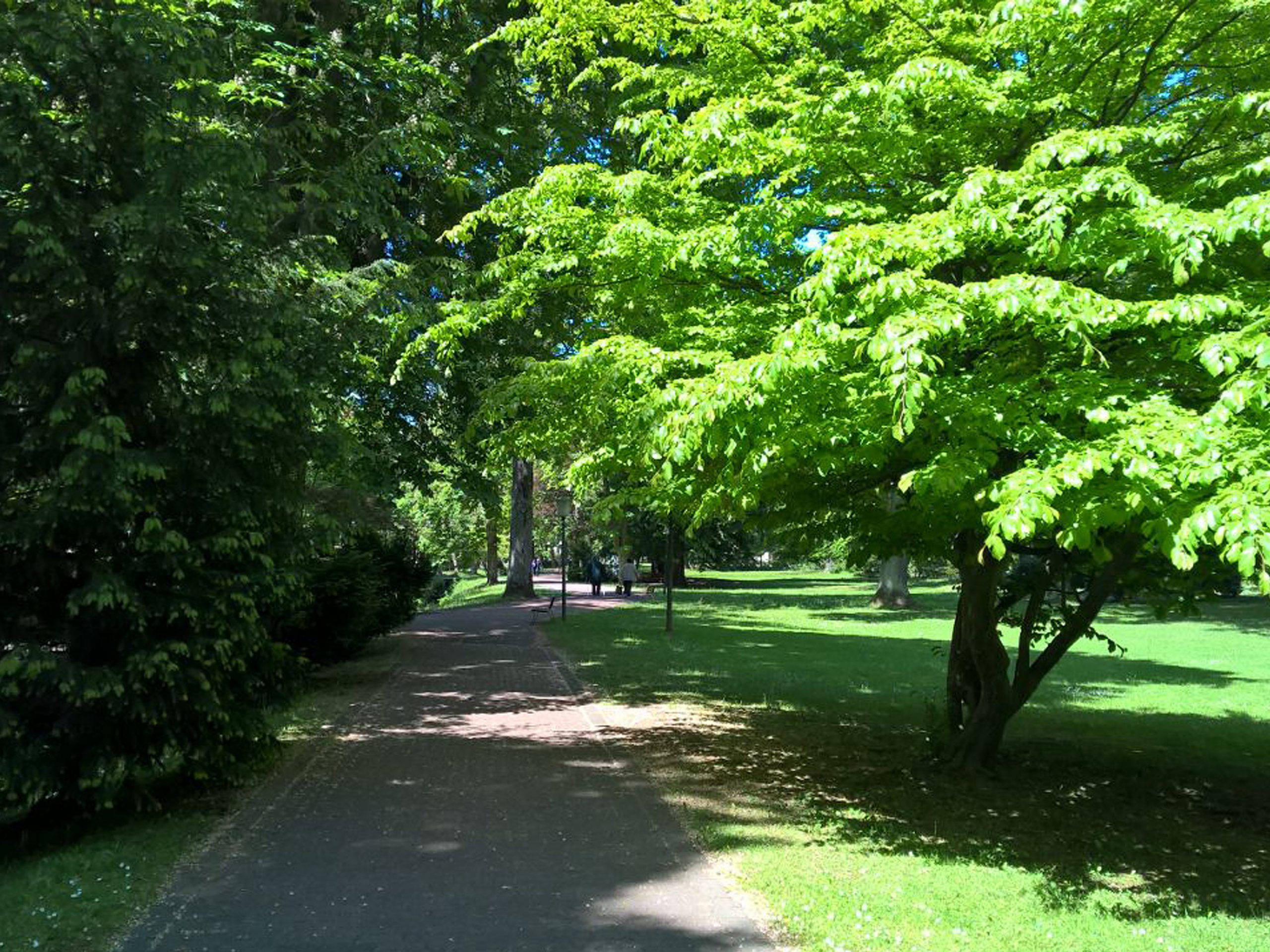 sathya-ayurveda-bad-orb-1