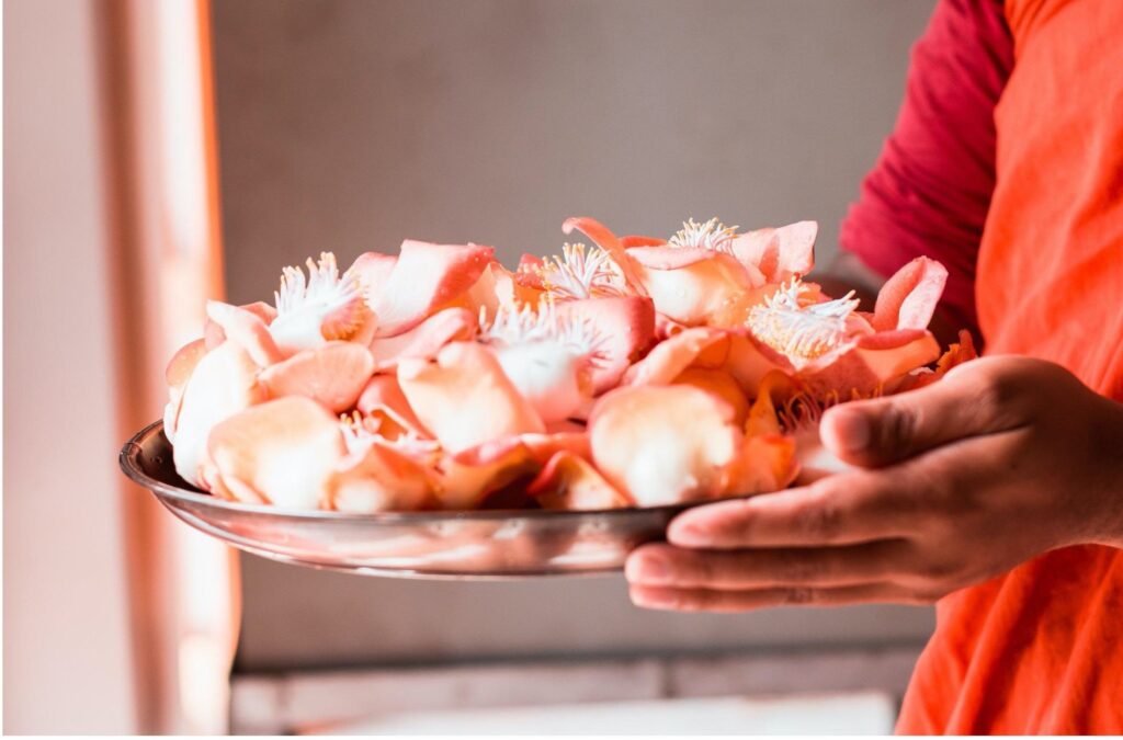 Ayurvedakur in Deutschland, Anmeldung